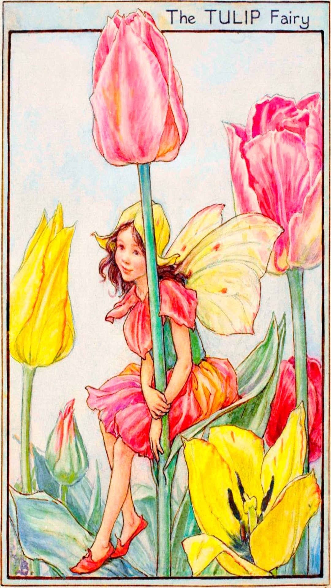 Flower Fairy Club - January - Tulip Fairy