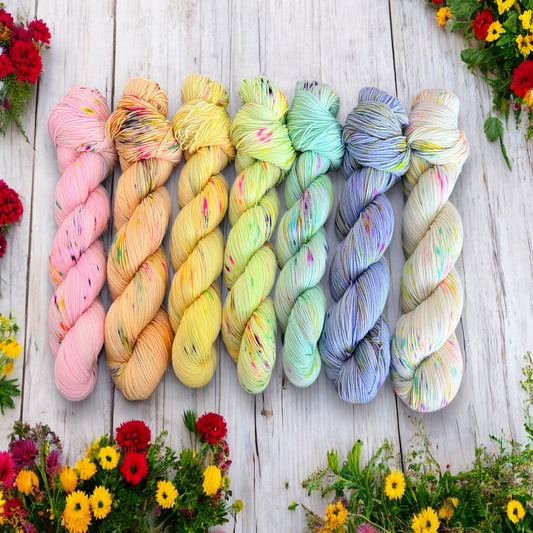 Confetti 2.0  - Single Skeins - Spring Pre-Order