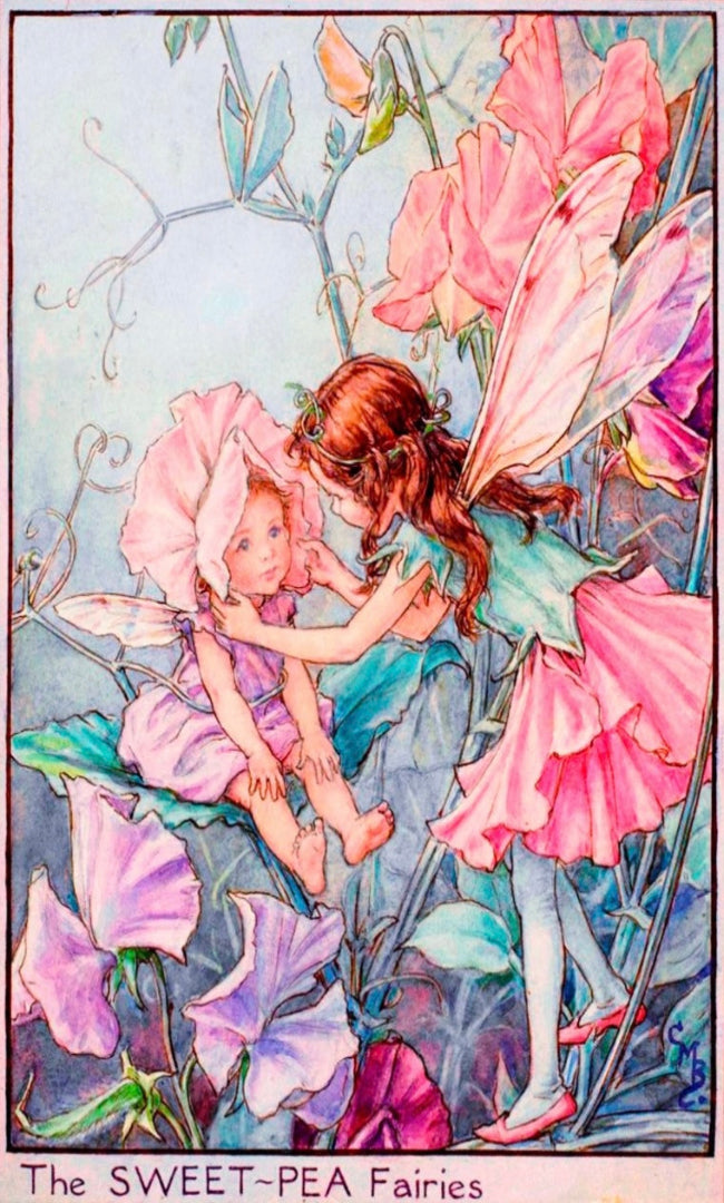 Flower Fairy Club - March - Sweet Pea Fairies